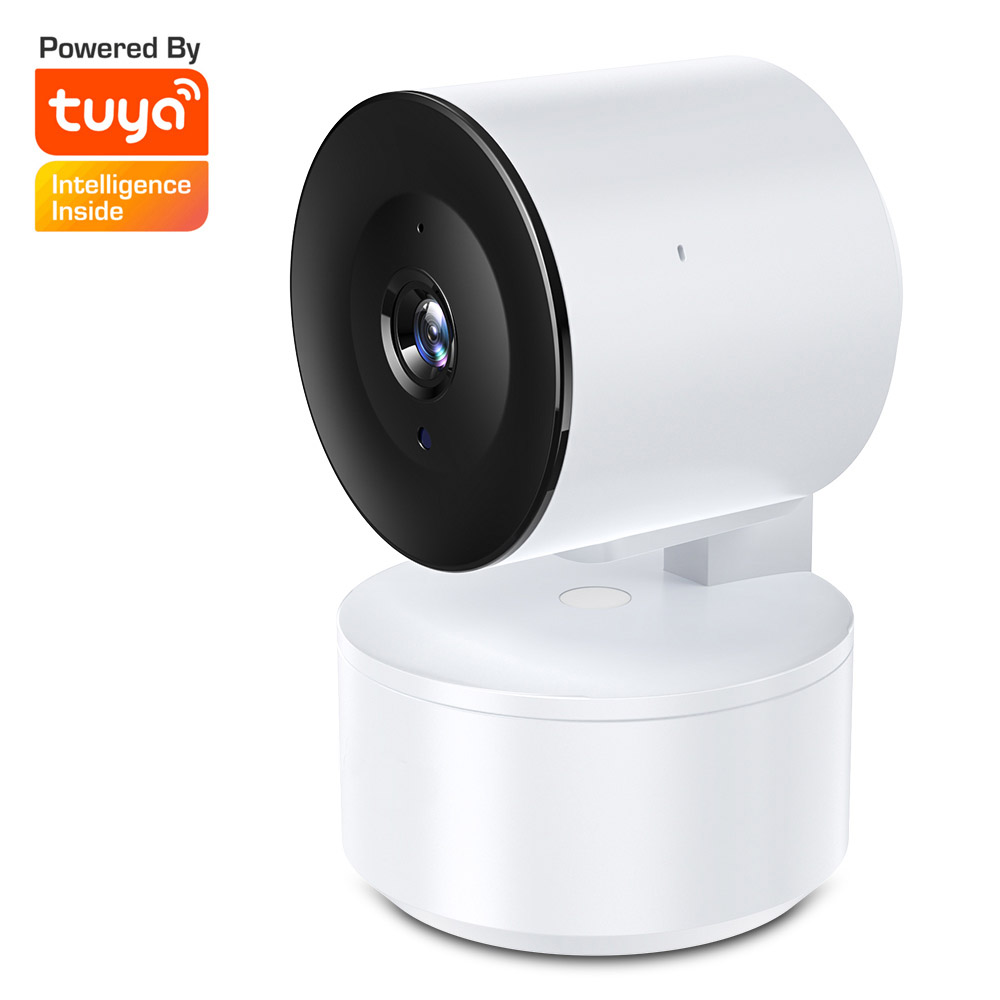 DS08 Tuya Camera Wireless Home Security Camera